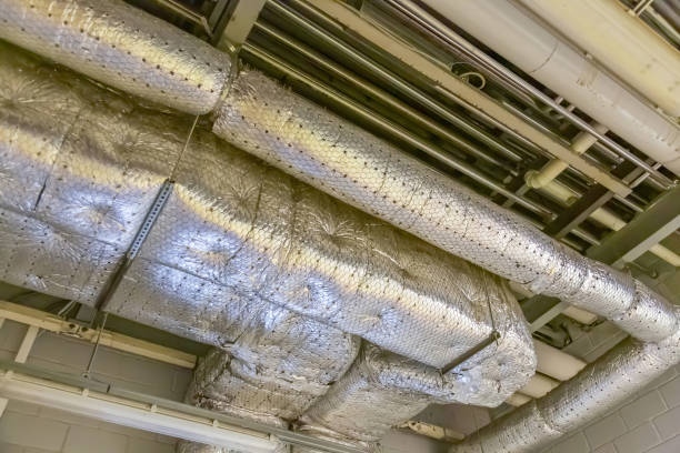 Best Professional Duct Cleaning Services  in Lake Success, NY